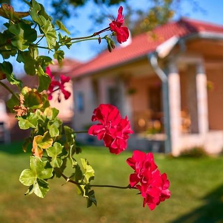 Villa Simida Debnevo Buitenkant foto