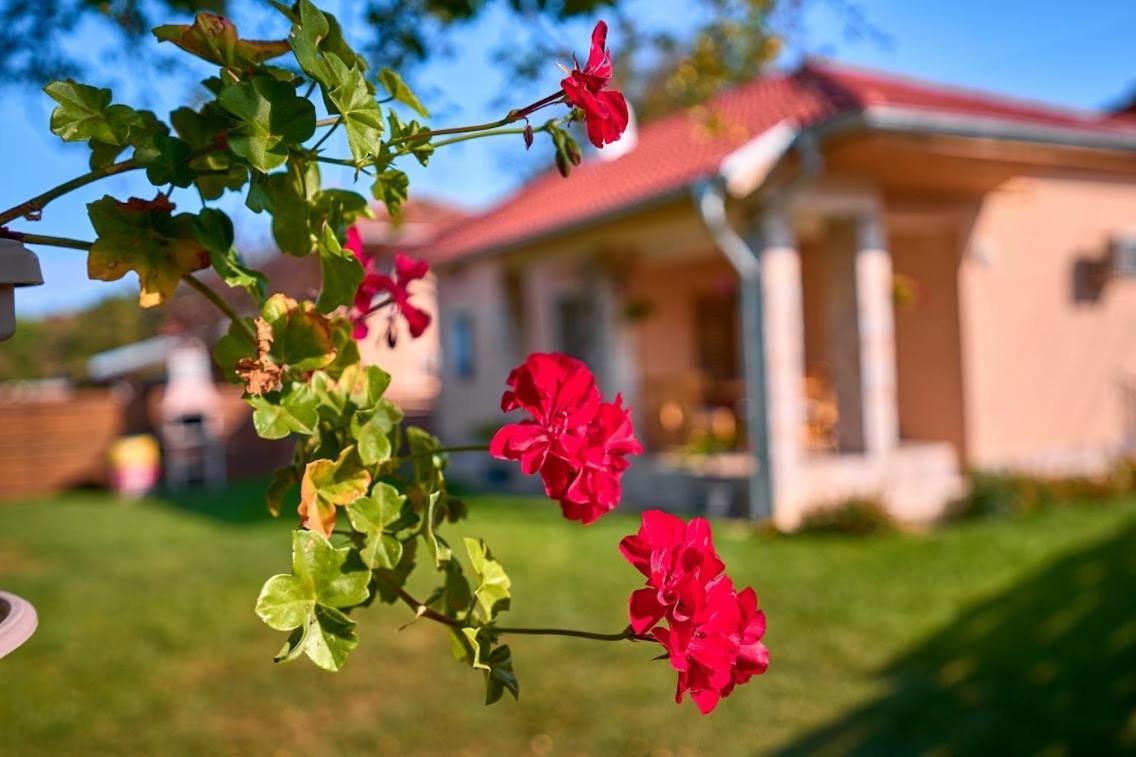 Villa Simida Debnevo Buitenkant foto